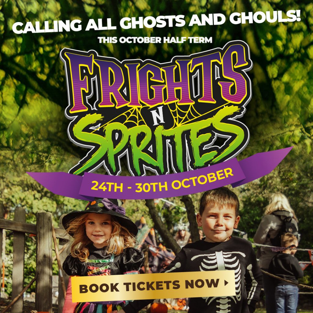 BG Frights Sprites Social Graphic 1080x1080px