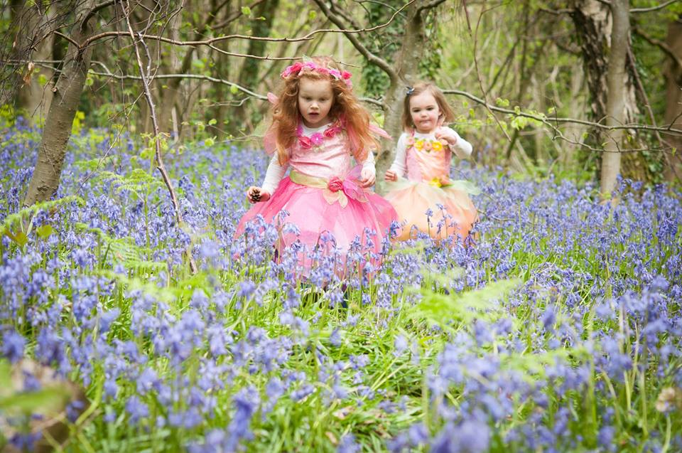 RH Bluebells