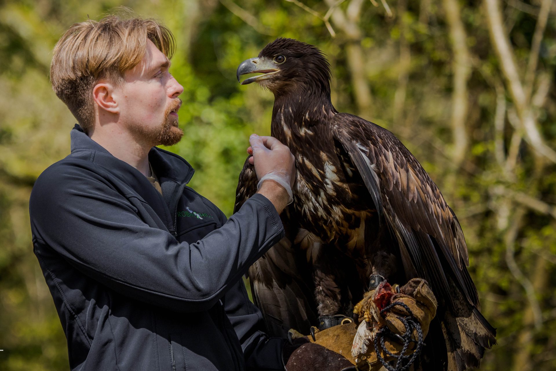 eagal blog