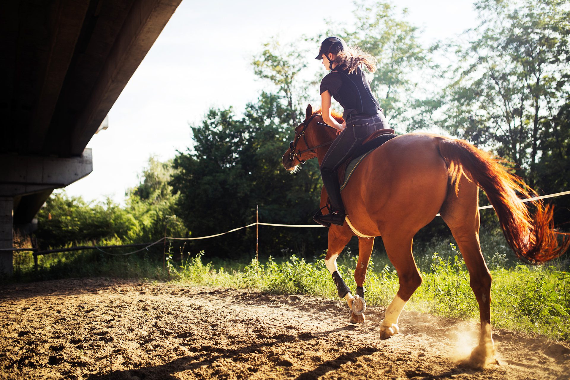 Horse Riding - Explore the Isle of Wight