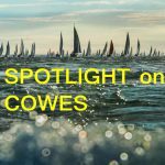 spotlightoncowes 1