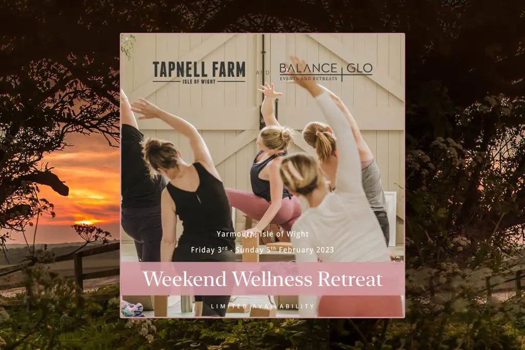 tf wellness blog copy 1024x683 1